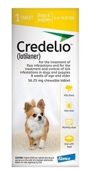 Credelio for dogs | Credelio chewable tablets for dogs