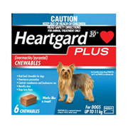 Heartgard Plus for Dog | Buy Heartgard Plus for Dogs 