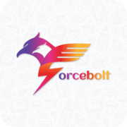 Best E-Learning Software Development Company in USA | Force Bolt