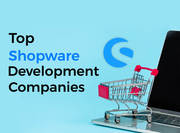 Shopware Development Company india