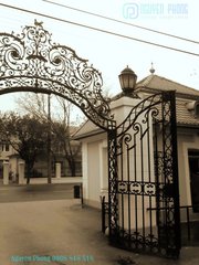 Decorative wrought iron main entry gates