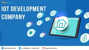 Find the Right IoT Development Company in the USA.
