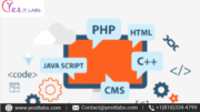 Hire Dedicated Codeigniter Developers And Programmers In USA 
