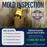 BayAreaMoldPros Recommends Summer Mold Inspection and Testing