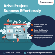 Boost Your Team Productivity with Orangescrum Project Management Tool