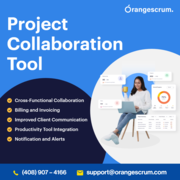 Streamline Workflows with Orangescrum Project Collaboration Software